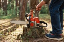 Can Stump Grinding Handle All…